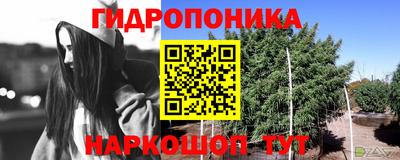 эйфоретик Ирбит