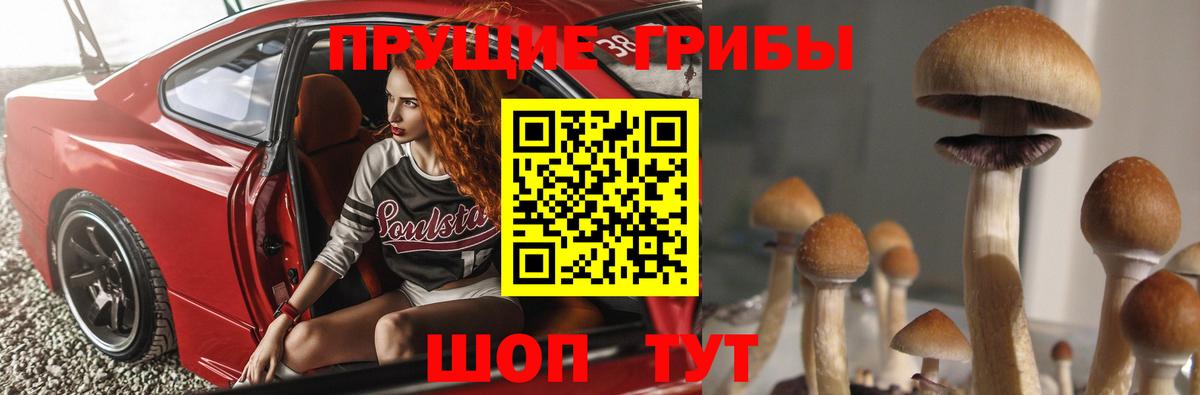 Псилоцибиновые грибы прущие грибы  Псилоцибиновые грибы ЛСД  Вход с VPN  продажа наркотиков  Салехард 